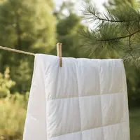 ヒノキ花粉 布団 干していい